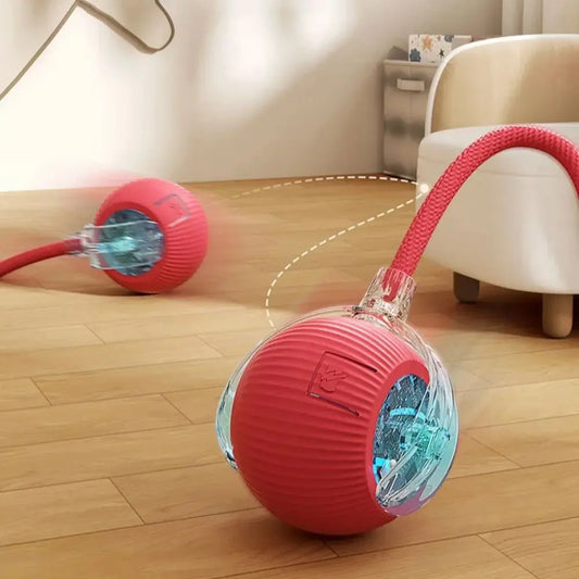 Pets Interactive Ball Toy