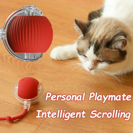 Pets Interactive Ball Toy